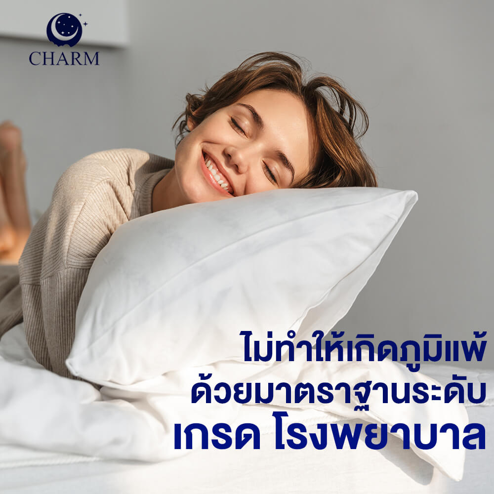 หมอนสุขภาพ CHARM HYPNOSIS ไมโครเจล 700 กรัม ขนาด 19"X29"